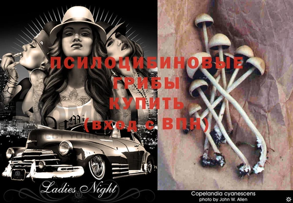 ГАЛЛЮЦИНОГЕННЫЕ ГРИБЫ Абдулино