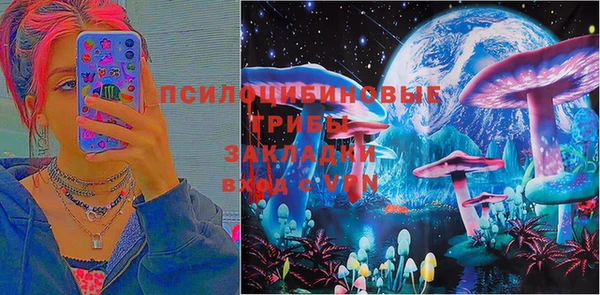 ГАЛЛЮЦИНОГЕННЫЕ ГРИБЫ Абдулино