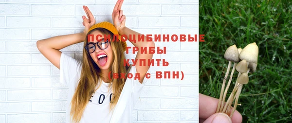 ГАЛЛЮЦИНОГЕННЫЕ ГРИБЫ Абдулино