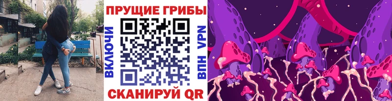 Галлюциногенные грибы ЛСД  где продают   Шахты 